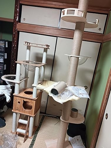 Amazon | [CozyMeow] キャットタワー 木製 据え置き スリム 宇宙船 厚